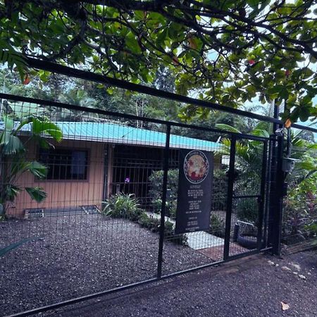 Casita Happy Feet And Tours Corcovado Drake Bay Exterior foto
