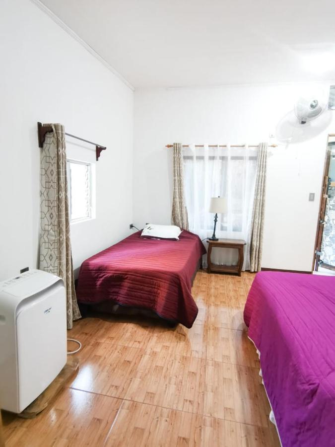 Casita Happy Feet And Tours Corcovado Drake Bay Exterior foto